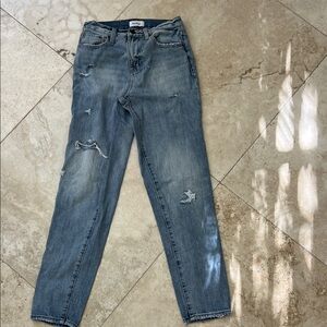 Pistola Distressed Blue Jeans Size 24